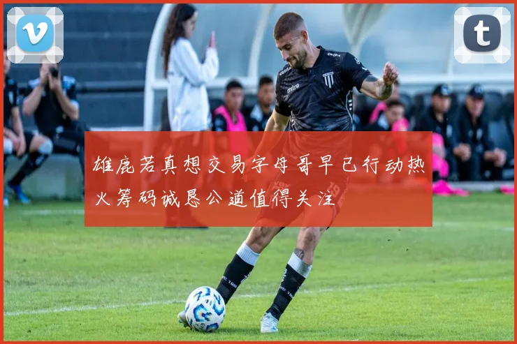 雄鹿若真想交易字母哥早已行动热火筹码诚恳公道值得关注