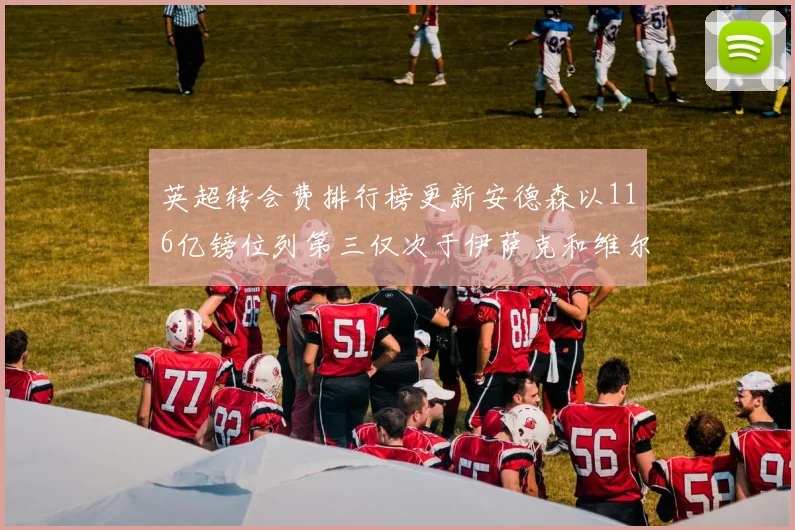 英超转会费排行榜更新安德森以116亿镑位列第三仅次于伊萨克和维尔茨
