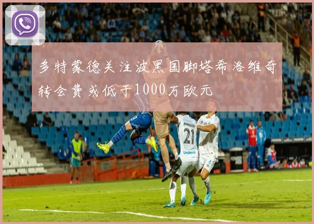 多特蒙德关注波黑国脚塔希洛维奇转会费或低于1000万欧元
