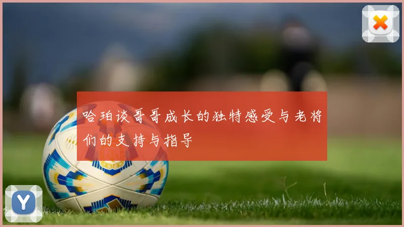 哈珀谈哥哥成长的独特感受与老将们的支持与指导